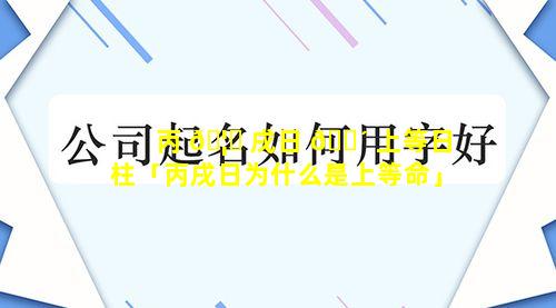 丙 🦉 戌日 🌴 上等日柱「丙戌日为什么是上等命」